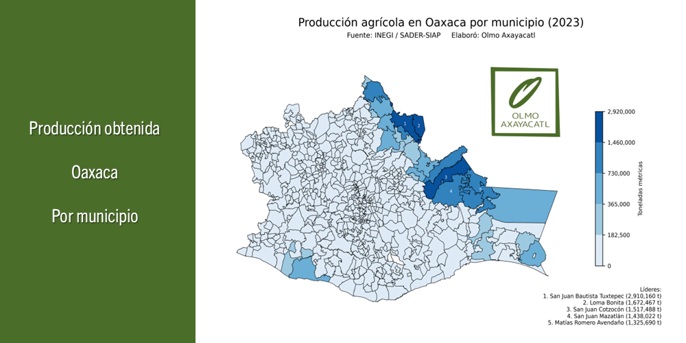 Mapa de la producción agrícola en Oaxaca por municipio