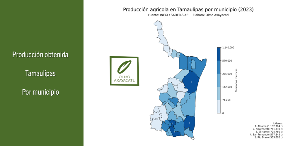 Mapa de la producción agrícola en Tamaulipas por municipio