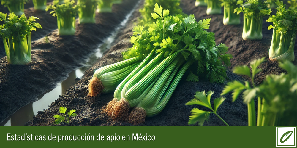 Archivos de Excel con los datos de la producción de apio en México
