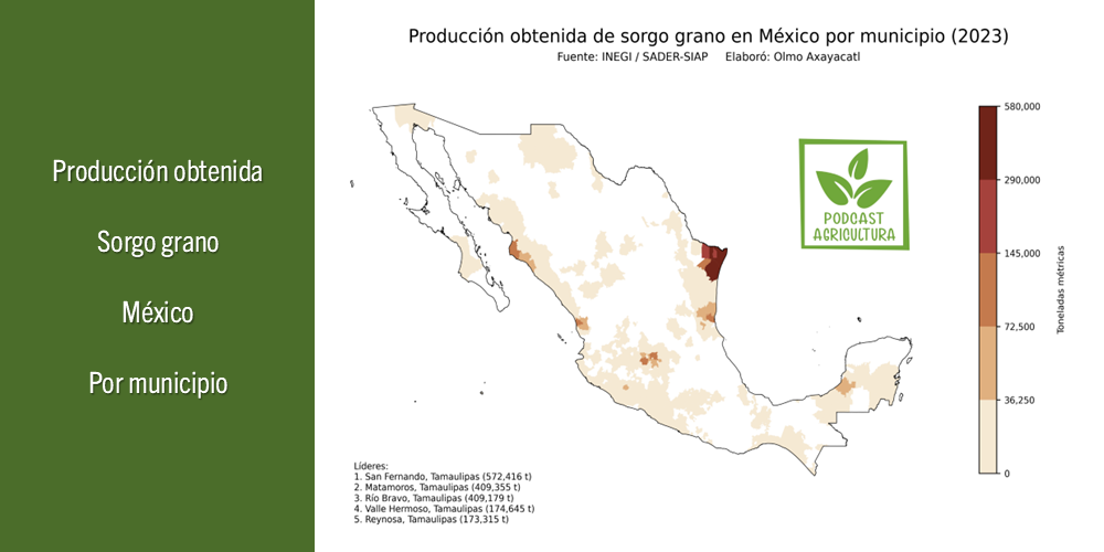 Mapa de la producción de sorgo grano en méxico por municipio