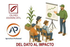 Del dato al impacto