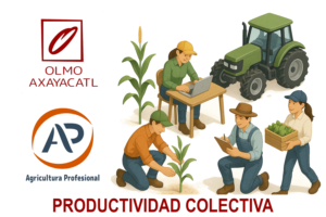 Productividad colectiva