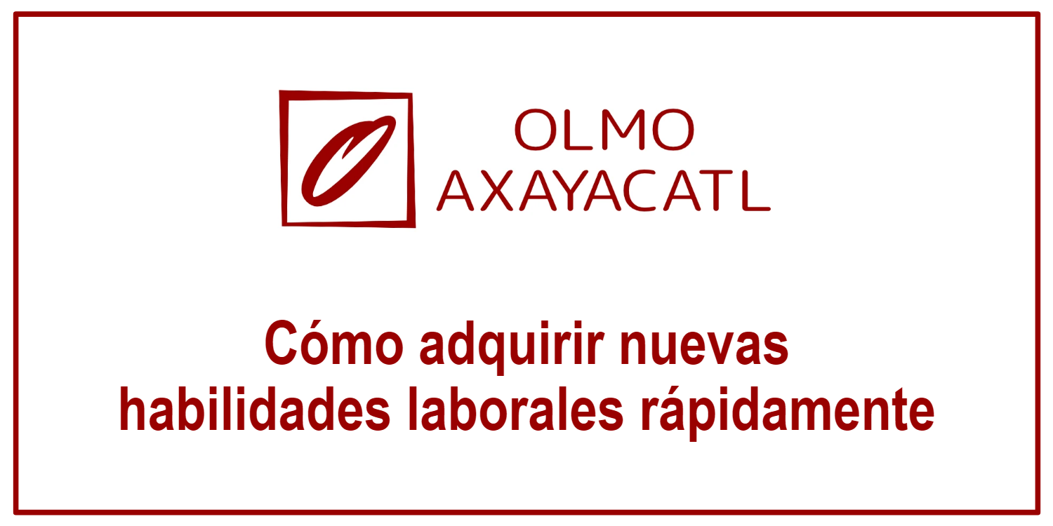 Cómo adquirir nuevas habilidades laborales rápidamente