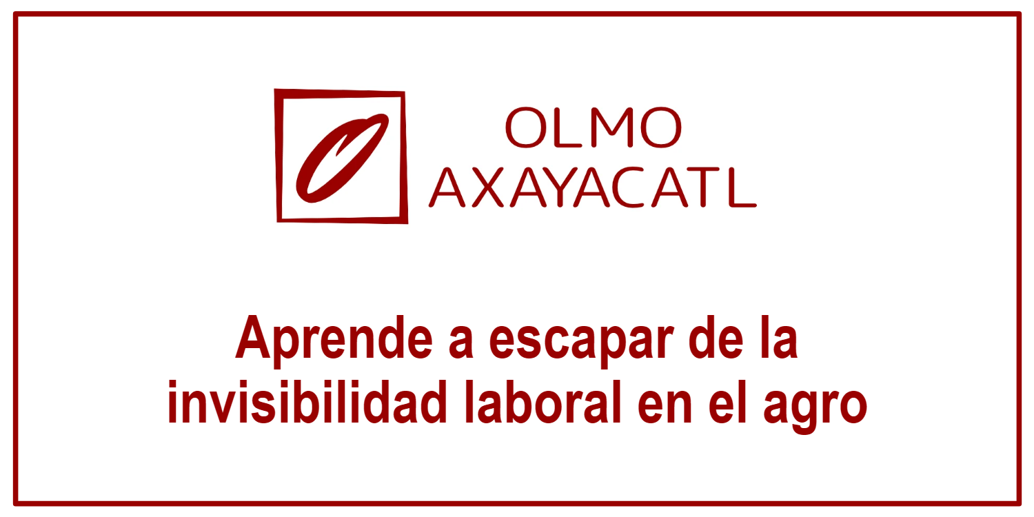 Aprende a escapar de la invisibilidad laboral en el agro