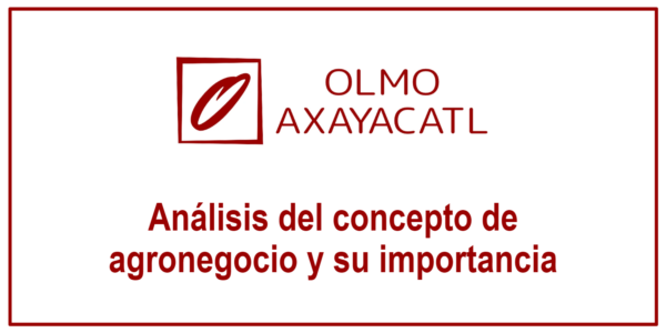 Análisis del concepto de agronegocio y su importancia
