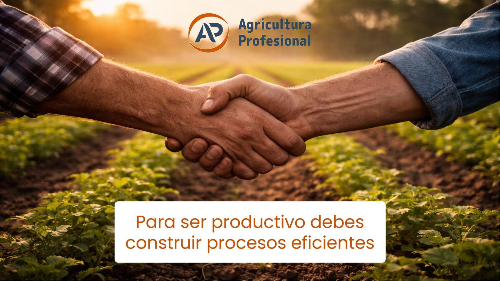 Para ser productivo debes construir procesos eficientes